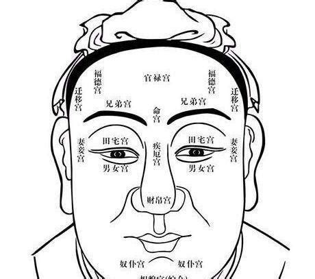 鼻子风水|面相风水：如何根据鼻型调整运势